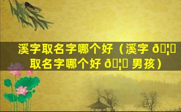 溪字取名字哪个好（溪字 🦍 取名字哪个好 🦁 男孩）